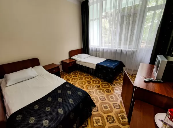 Двухместный 1-комнатный номер 3 категории в 3 корпусе санатория «Анджиевского» в г. Ессентуки - фотография