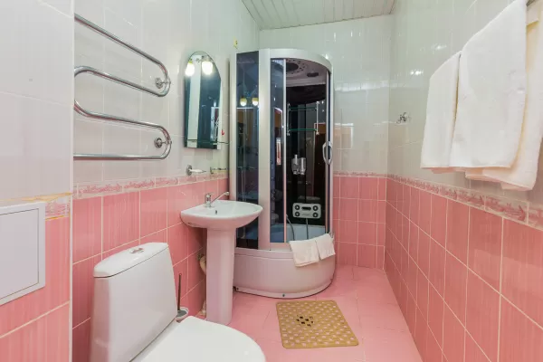 Двухместный номер 1 категории во 2 корпусе в санатории имени Анджиевского в городе Ессентуки - фотография