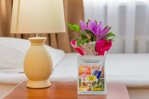 Двухместный номер 2 категории в 3 корпусе в санатории имени Анджиевского в городе Ессентуки - фотография