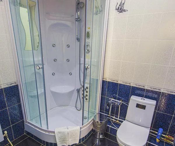 Люкс в корпусе Вилла Герман в санатории имени Анджиевского в городе Ессентуки - фотография