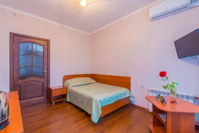 Одноместный номер 1 категории улучшенный в 1 корпусе в санатории имени Анджиевского в городе Ессентуки - фотография