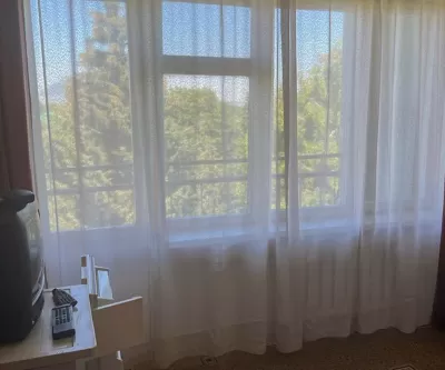 Одноместный номер 3 категории в 3 корпусе в санатории имени Анджиевского в городе Ессентуки - фотография